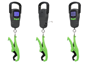 Fsihing scale
