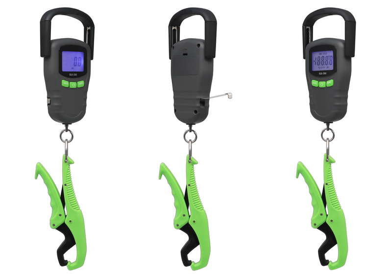 Fsihing scale